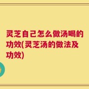 灵芝自己怎么做汤喝的功效(灵芝汤的做法及功效)