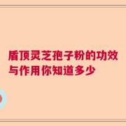 盾顶灵芝孢子粉的功效与作用你知道多少