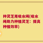 种灵芝用吸水绳(吸水绳助力种植灵芝：提高种植效率)