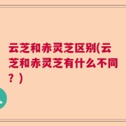 云芝和赤灵芝区别(云芝和赤灵芝有什么不同？)