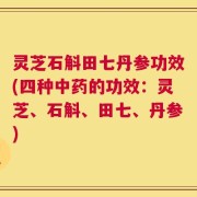 灵芝石斛田七丹参功效(四种中药的功效：灵芝、石斛、田七、丹参)