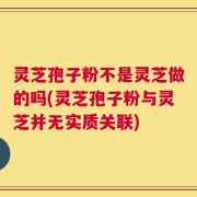 灵芝孢子粉不是灵芝做的吗(灵芝孢子粉与灵芝并无实质关联)