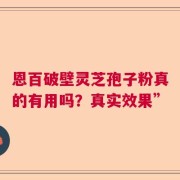 恩百破壁灵芝孢子粉真的有用吗？真实效果”