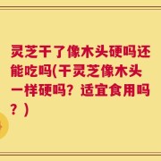 灵芝干了像木头硬吗还能吃吗(干灵芝像木头一样硬吗？适宜食用吗？)