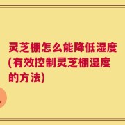 灵芝棚怎么能降低湿度(有效控制灵芝棚湿度的方法)