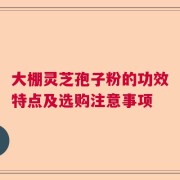 大棚灵芝孢子粉的功效特点及选购注意事项