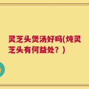 灵芝头煲汤好吗(炖灵芝头有何益处？)