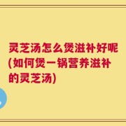 灵芝汤怎么煲滋补好呢(如何煲一锅营养滋补的灵芝汤)