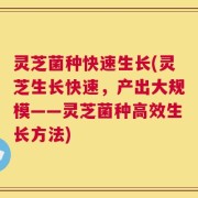 灵芝菌种快速生长(灵芝生长快速，产出大规模——灵芝菌种高效生长方法)