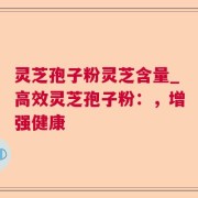 灵芝孢子粉灵芝含量_高效灵芝孢子粉：，增强健康