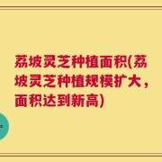 荔坡灵芝种植面积(荔坡灵芝种植规模扩大，面积达到新高)