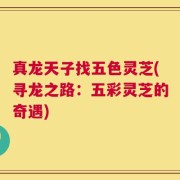 真龙天子找五色灵芝(寻龙之路：五彩灵芝的奇遇)