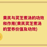黄芪与灵芝煮汤的功效和作用(黄芪灵芝煮汤的营养价值及功效)