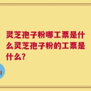 灵芝孢子粉哪工票是什么灵芝孢子粉的工票是什么？