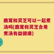 鹿茸和灵芝可以一起煮汤吗(鹿茸和灵芝合用煮汤有益健康)