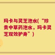 玛卡与灵芝泡水(“珍贵中草药泡水，玛卡灵芝双效护身”)