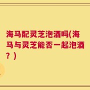 海马配灵芝泡酒吗(海马与灵芝能否一起泡酒？)