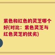 紫色和红色的灵芝哪个好(对比：紫色灵芝与红色灵芝的优劣)