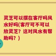 灵芝可以摆在客厅吗风水好吗(客厅可不可以放灵芝？这对风水有帮助吗？)