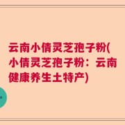 云南小倩灵芝孢子粉(小倩灵芝孢子粉：云南健康养生土特产)