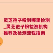 灵芝孢子粉到哪里检测_灵芝孢子粉检测机构推荐及检测流程指南