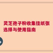 灵芝孢子粉收集佳纸张选择与使用指南
