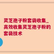 灵芝孢子粉套袋收集_高效收集灵芝孢子粉的套袋技术
