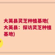 大英县灵芝种植基地(大英县：探访灵芝种植基地)