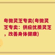 粤微灵芝专卖(粤微灵芝专卖：供应优质灵芝，改善身体健康)