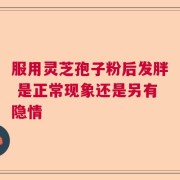 服用灵芝孢子粉后发胖 是正常现象还是另有隐情