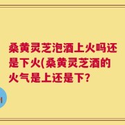 桑黄灵芝泡酒上火吗还是下火(桑黄灵芝酒的火气是上还是下？