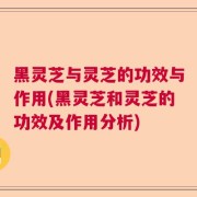 黑灵芝与灵芝的功效与作用(黑灵芝和灵芝的功效及作用分析)