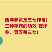 西洋参灵芝三七作用(三种草药的功效-西洋参、灵芝和三七)