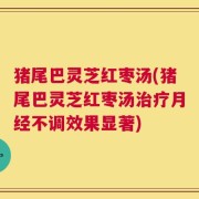 猪尾巴灵芝红枣汤(猪尾巴灵芝红枣汤治疗月经不调效果显著)