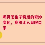 喝灵芝孢子粉后的奇妙变化，竟然让人目瞪口呆
