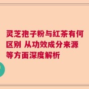 灵芝孢子粉与红茶有何区别 从功效成分来源等方面深度解析