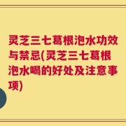 灵芝三七葛根泡水功效与禁忌(灵芝三七葛根泡水喝的好处及注意事项)