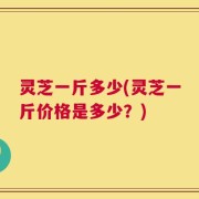 灵芝一斤多少(灵芝一斤价格是多少？)