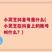 小灵芝抖音号是什么(小灵芝在抖音上的账号叫什么？)