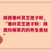 陕西秦岭灵芝孢子粉_“秦岭灵芝孢子粉:陕西珍稀草药的养生奥秘”