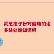 灵芝孢子粉对健康的诸多益处你知道吗
