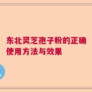 东北灵芝孢子粉的正确使用方法与效果