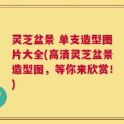 灵芝盆景 单支造型图片大全(高清灵芝盆景造型图，等你来欣赏！)