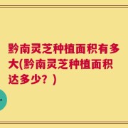 黔南灵芝种植面积有多大(黔南灵芝种植面积达多少？)