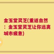 金玉堂灵芝(重返自然：金玉堂灵芝让你远离城市疲惫)