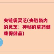 夹链袋灵芝(夹链袋内的灵芝：神秘的草药健康保健品)