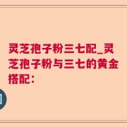 灵芝孢子粉三七配_灵芝孢子粉与三七的黄金搭配：