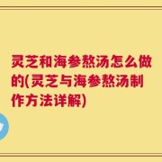 灵芝和海参熬汤怎么做的(灵芝与海参熬汤制作方法详解)