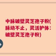 中脉破壁灵芝孢子粉(脉动不止，灵活护体：破壁灵芝孢子粉)