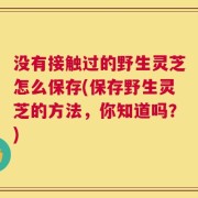 没有接触过的野生灵芝怎么保存(保存野生灵芝的方法，你知道吗？)